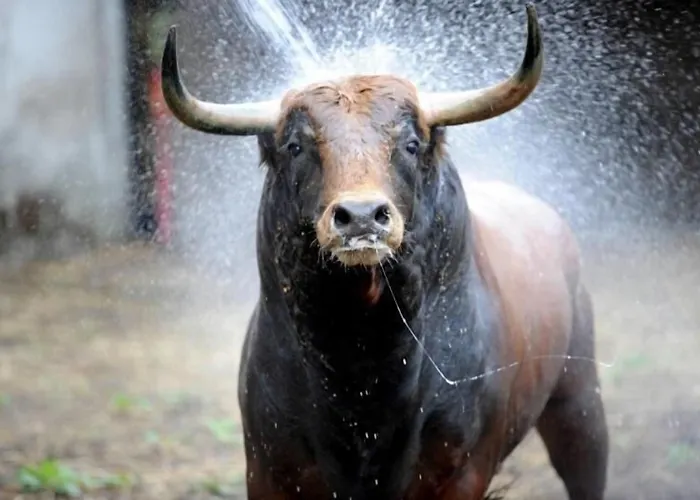 Chez L'ahumat فندق *